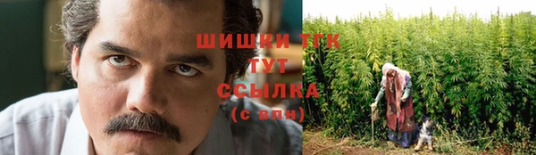 сатива Арсеньев
