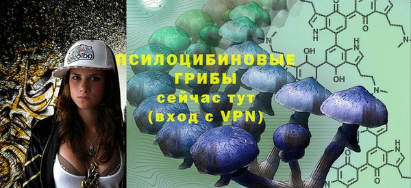 сатива Арсеньев