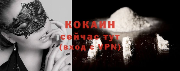 сатива Арсеньев
