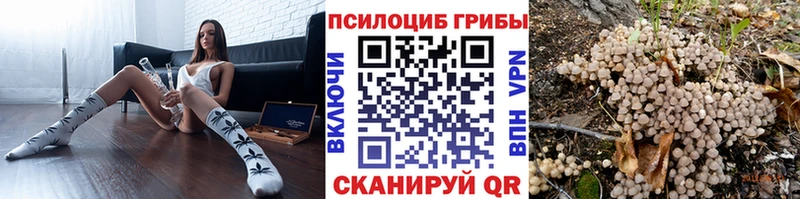 Псилоцибиновые грибы Magic Shrooms  наркотики  Хилок 